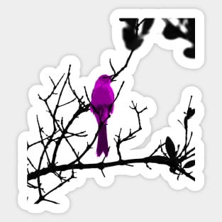 Purple bird on a black tree Sticker